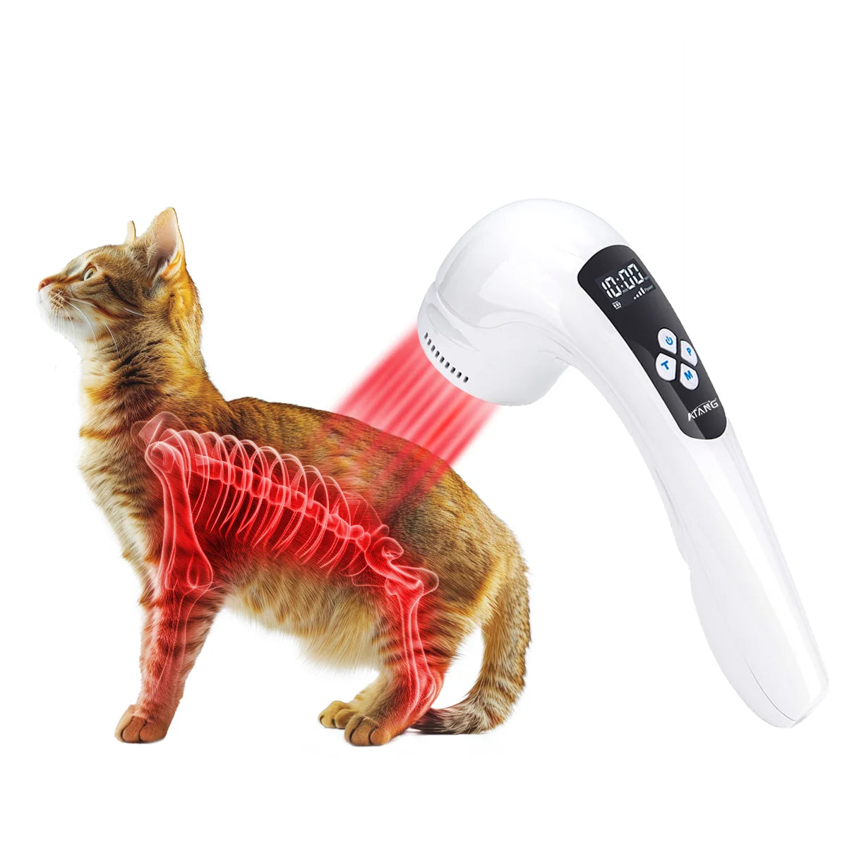 Orthopedic Veterinary Infrared Light Pain Relief Machine for Dogs Cats & Horses-Handheld Animal Arthritis & Wound Healing Device