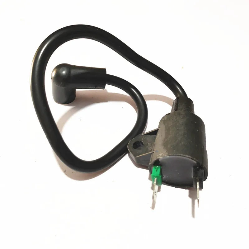 SeaSummer ET950 ET650 Ignition Coil for Generator TG950 650 W 950 W 1KW 2 Stroke 1E45 Generator Spare Parts