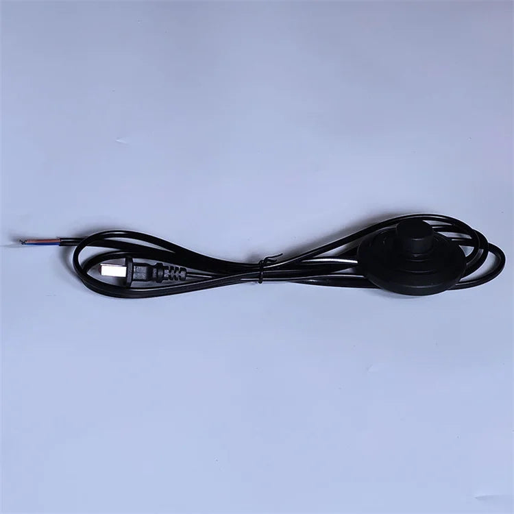European Standard 2 Round Plug 317 Switch Wire 1.8m Wires and Switches Oxygen Free Copper Wire UK Power Cord Foot Pedal Switch
