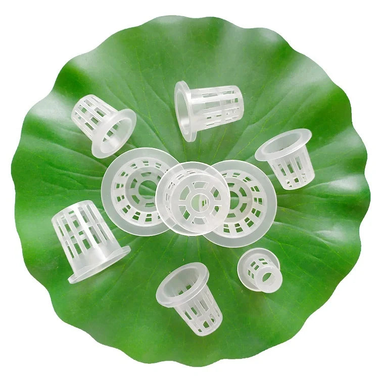 40# Aquaponics Equipment Home Garden System Hydroponic Vegetables Growing Greenhouse Grow Net Plastic pp Cup