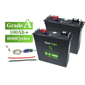 48v Lithium Ion Lifepo4 Battery 100ah 200ah 24v 48v Server Rack Lithium Battery with Inverter for Solar