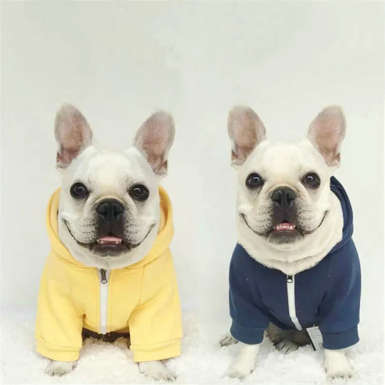 Factory Wholesale Fashion Casual Solid Color Autumn Designer Dog Hooded Sweater Pet Clothes