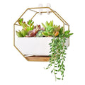 China Lowest Price Succulent Pot Air Plants Mini Cactus Artificial Flowers Hanging Geometric Hexagon Wall Decor