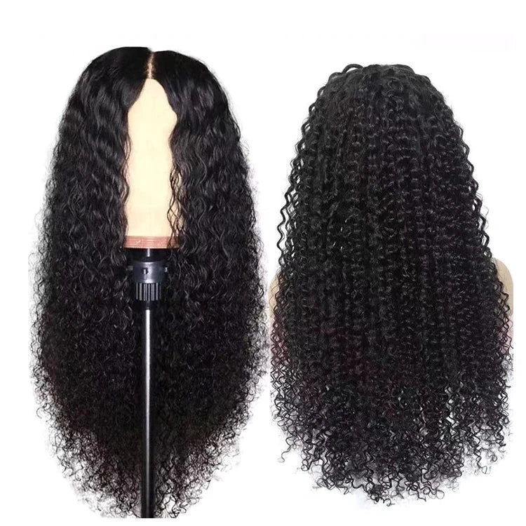 Wholesale Afro Kinky Curly Human Hair Lace Front Wig 4X4 Transparent Lace Closure Wig Wet and Wavy Indian Hair Wig 10-30 Inches