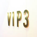 Non Luminous 3mm Stainless Steel 3D Letter Brushed Gold VIP Room Door Number logo