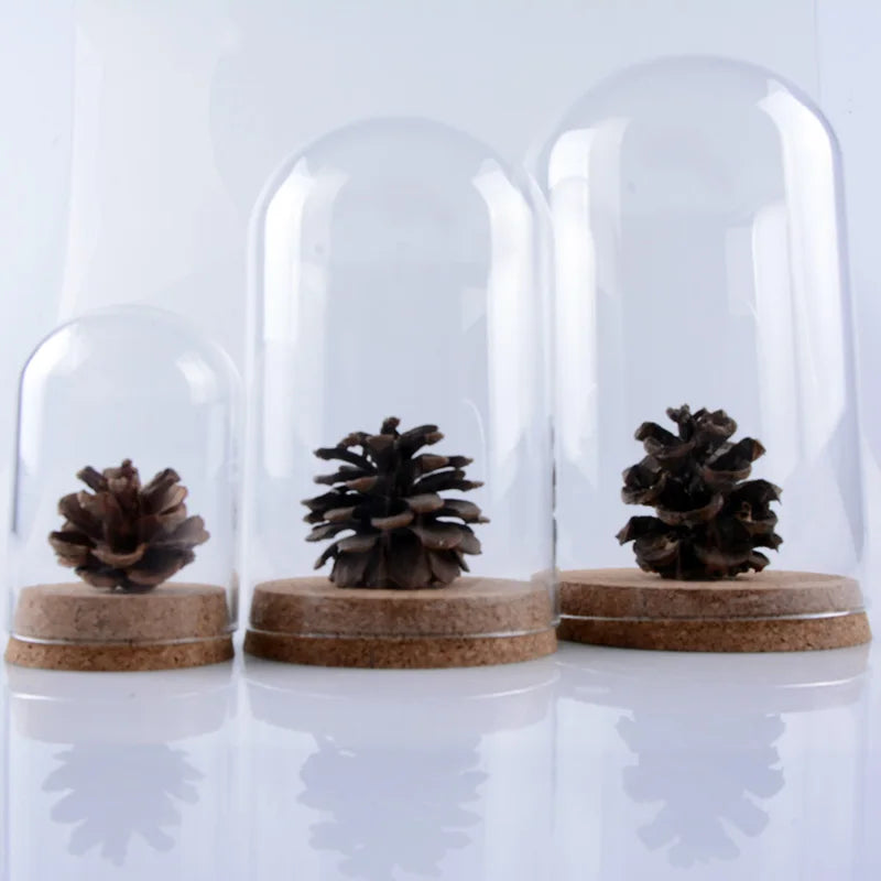 Classic Round 5*7cm Glass Dome Wood Cork Base Luxury New MM Model MM001CD Contemporary Home Decor for Anniversary Art Deco Style
