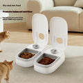 Intelligent 350ML Automatic Plastic Pet Bowl Eco-Friendly Home Dog Cat Feeder Timed Meal Dry Wet Food Box Packed
