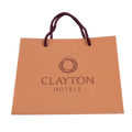 OEM Custom Luxury Retail Clothing/ Garment/ Shoes Shopping BagPaper Bag and Paper Bag with logo Printed