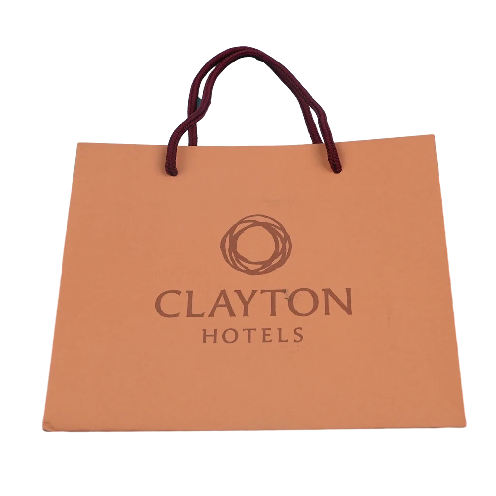 OEM Custom Luxury Retail Clothing/ Garment/ Shoes Shopping BagPaper Bag and Paper Bag with logo Printed