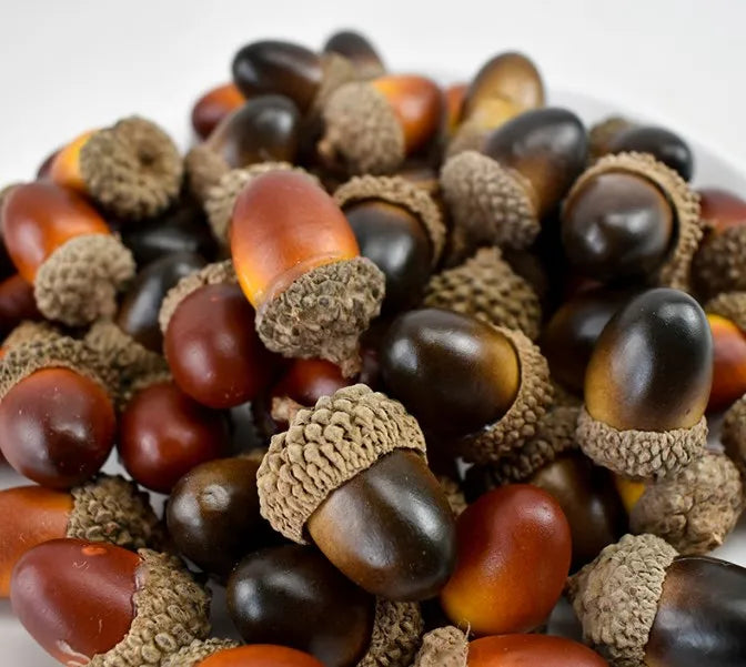 Realistic Fake Acorn Prop Display Simulate Acorn Model Decoration