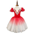 Children's Ballet Skirt Practice Dress Dance Pompous Gauze Tutu Female Princess Performance