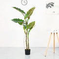 Factory Direct Popularity Selling Green New Taro Leaves Decoration Household Artificial Plastic Plant
