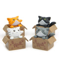 3D Miniature Kitten Doll Home Decoration Mini Cat in Box Small Ornament