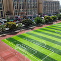 Club Sport Synthetic Turf for Multi-Purpose Sports Field