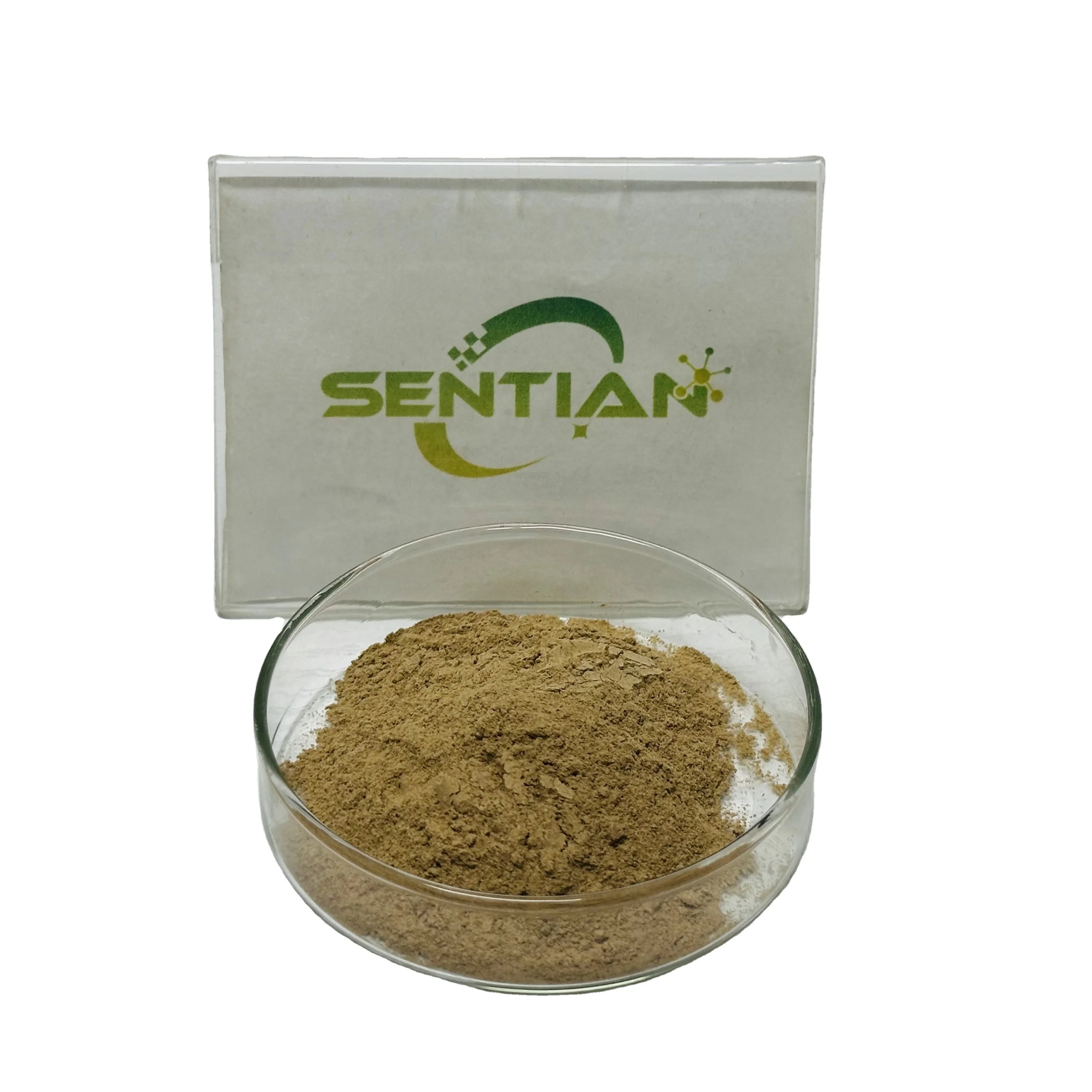 Customized Microbial Rennet Enzyme Rennet for Cheese Making
