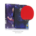 OEM Custom R5 Ping Pong Paddle Professional Racket ITTF Approved Long Life 7 Ply Carbon Table Tennis Bat