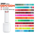 JTING Professional Nails Gel Suppliers Free Sample Design 3000 Colors Uv Gel Nail Polish OEM ODM Private Label Nail Gel Bottles