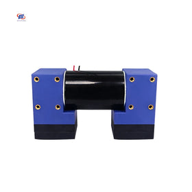 Manufacturer Customized Small DC Double Head Pump Vacuum 12V/24V/110V/220V Mini Vacuum Air Pump