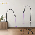 Wholesale  Pulleys Desktop Cip UV Lash LED Light Lamp 405 NM POLISH NAIL ART Beauty Salon UV Lamp for Hair Eyelash Extension
