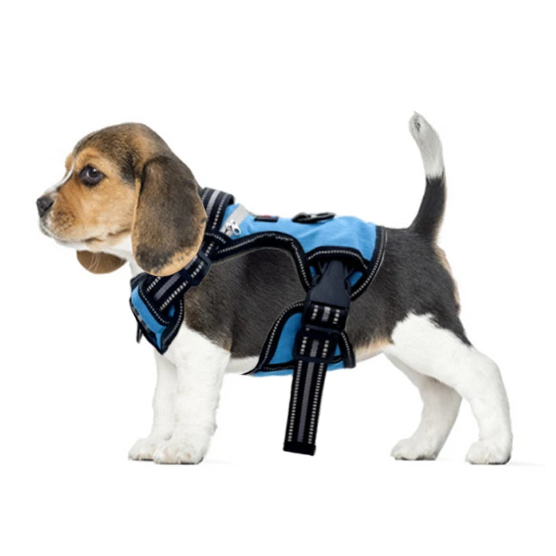 New Adjustable Pet Harness for Dogs Waterproof Soft No Pull Reflective Solid Design Made Polyester Leather Nylon for Dog Walking