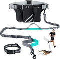 Handsfree Dog Leash with Dual Bungees Adjustable Waist Belt Reflective Stitching Leash