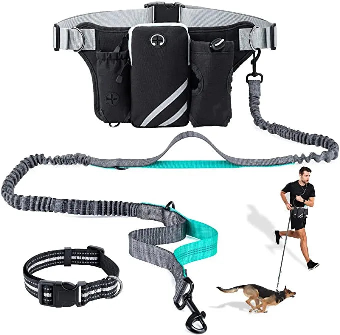 Handsfree Dog Leash with Dual Bungees Adjustable Waist Belt Reflective Stitching Leash