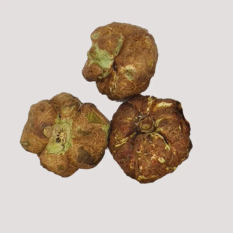 Freeze Drying Pet Product Freeze-Dried Silvervine Fruit Freeze Dried Matatabi Gall Fruit