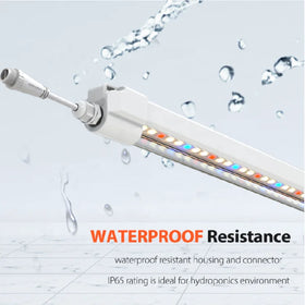 LED Grow Light for Veg Bloom Full Spectrum Plant Lamp Lm301h Lm281b Commercial Hydroponic Systems