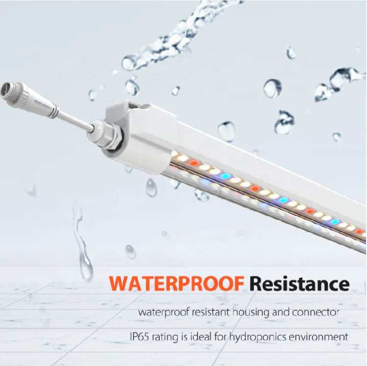 LED Grow Light for Veg Bloom Full Spectrum Plant Lamp Lm301h Lm281b Commercial Hydroponic Systems