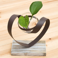 Modern Metal Frame Hydroponic Flower Vase Test Tube Glass Terrarium Plant Pot