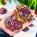 New Arrival Natural Crystal Flower Carvings Hand Engraved Peony Decoration Creative Healing Atlantis Crafts