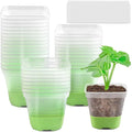 P99 Reusable Seedling Pots Clear Nursery Pots With Silicone Base for Easy Transplant Transparent Plastic Plant Pot