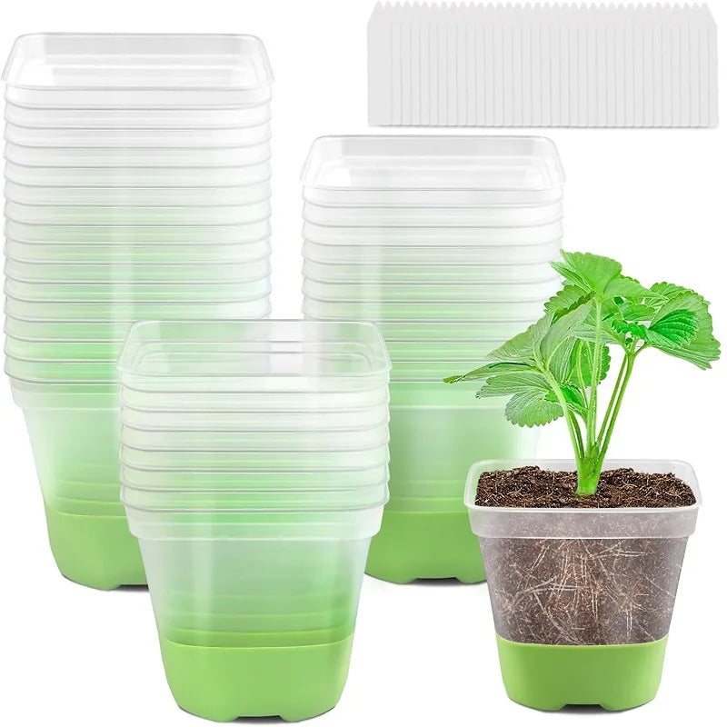 P99 Reusable Seedling Pots Clear Nursery Pots With Silicone Base for Easy Transplant Transparent Plastic Plant Pot