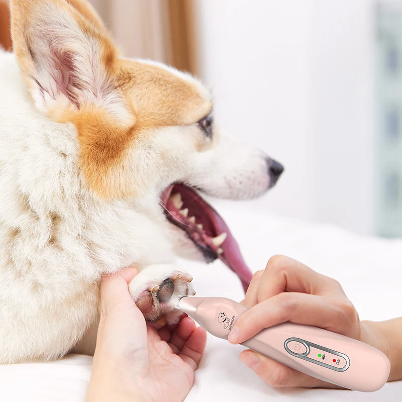 Electric Dog Paw Trimmer Clippers with LED Light USB Rechargeable Professional Dog Grooming Kit Low Noise Dog Shaver Clippers