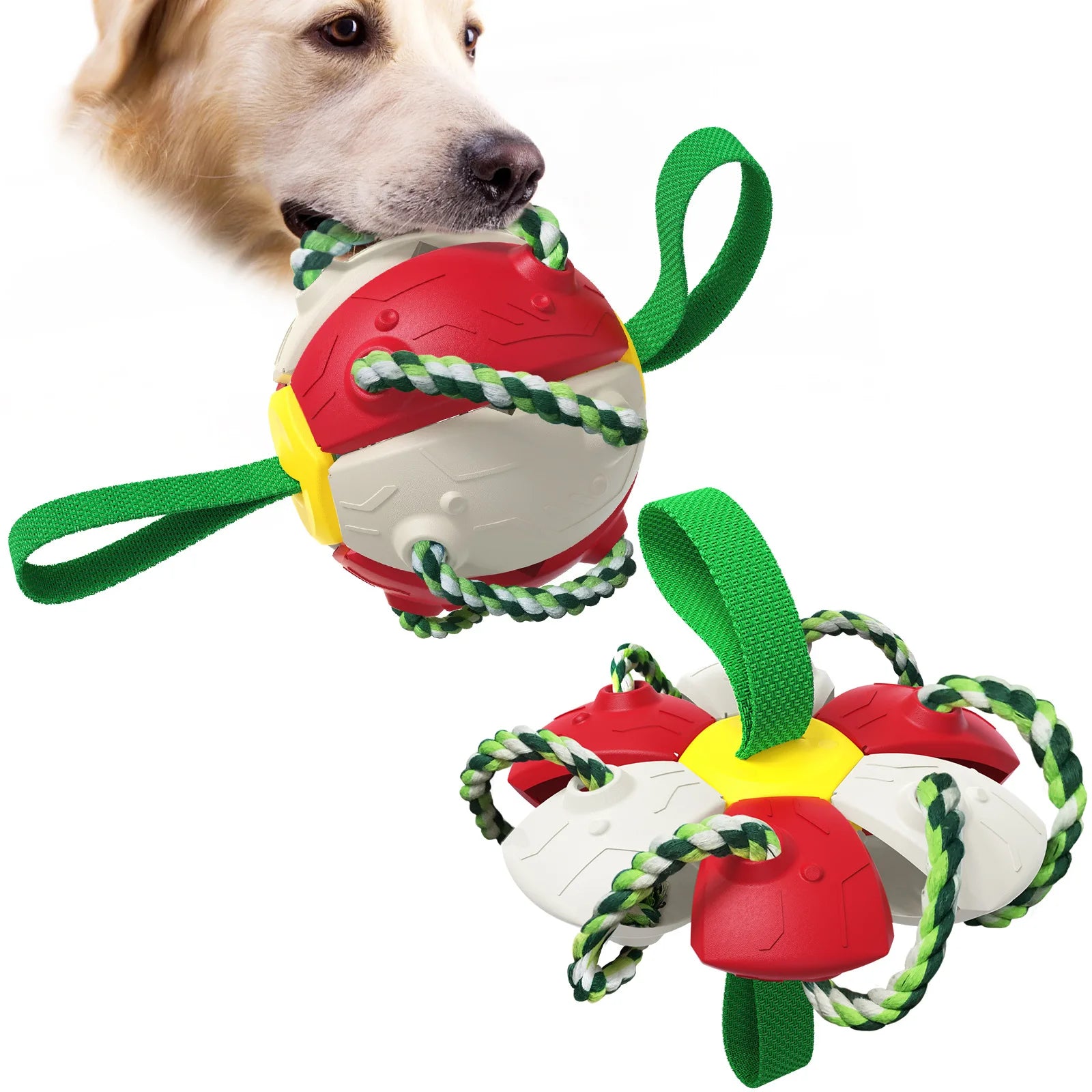Factory Wholesale New Fashion Pet Supply Unique Design Outdoor Interactive Football Training Dog Toy