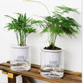 Home and Garden  Round Hydroponic Transparent Clear Succulents Garden Pots & Planters Self Watering Plastic Flower Pots