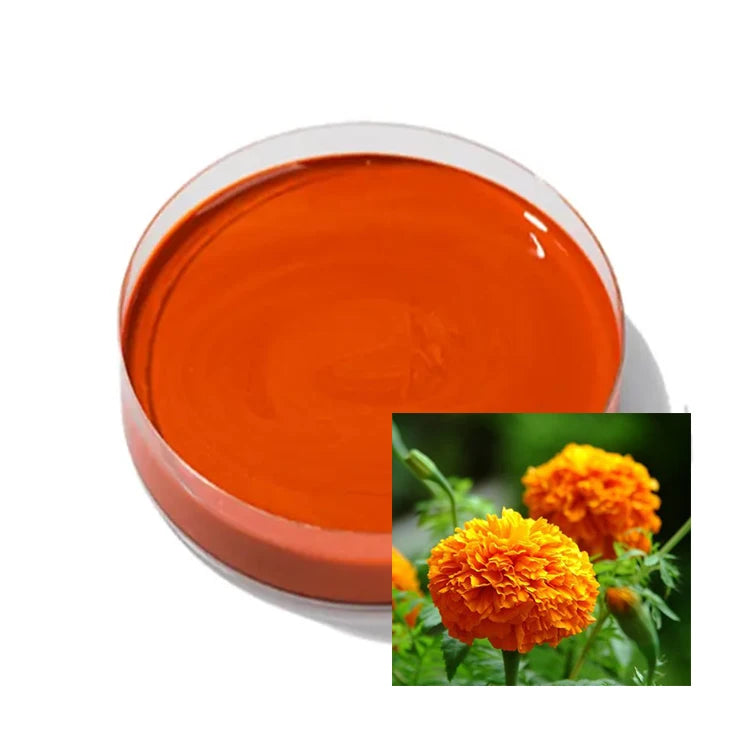 Halal Kosher Food Additives Pure Natural Marigold Extract for Eye Drops 20% Lutein Ester Oil