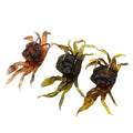 LETOYO 10cm 33.4g Artificial Soft Fishing Bait Crab 3 Colors Lure Bait Artificial  With Hooks Lure PESCA  Simulation