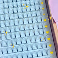 Wholesale Handmade Volume Eyelash Extension Supplies Pre-Made 6D-10D Fans Premium Lash Fans Vegan & Cruelty-Free Korean PBT