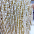 2mm 3mm White Color Keshi Freshwater Loose Pearls Genuine High Lustre Freshwater Rice Stick Shape Pearl String Beads Perle