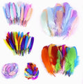 3-7 Inches (7-18cm) Colorful Feathers Three Sizes Pure Natural Goose Feather for DIY Craft Wedding Home Party Centerpieces Dre