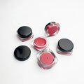 OEM Natural Lipstick Custom Logo Cute Black Cap Vitamin E Makeup Lipstick With Low MOQ