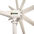 1000w Wind Energy Generator Eolienne Free Energy Generator 800w