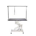 Heavy Duty Dog Pet Grooming Table Pet Grooming Table Hydraulic Lifting System N-102
