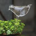 Automatic Self Watering Devices Clear Glass Water Feeder Garden Plants Flowers Water Feeder
