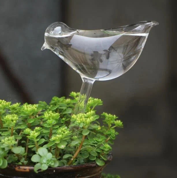 Automatic Self Watering Devices Clear Glass Water Feeder Garden Plants Flowers Water Feeder