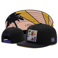 Customized Flat Brim Hat American Style Flat Brim Hip Hop Hat Men's and Women's Flat Brim Hats