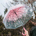 Apollo Arch Transparent Cherry Blossom Umbrella for Wedding Photo Shoot Small Fresh Custom Umbrella for Travel