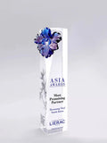 Crystal Trophy Customized Creative Glass Flower Medal Rectangular Prism Competition Champion Team Annual Meeting Outstanding