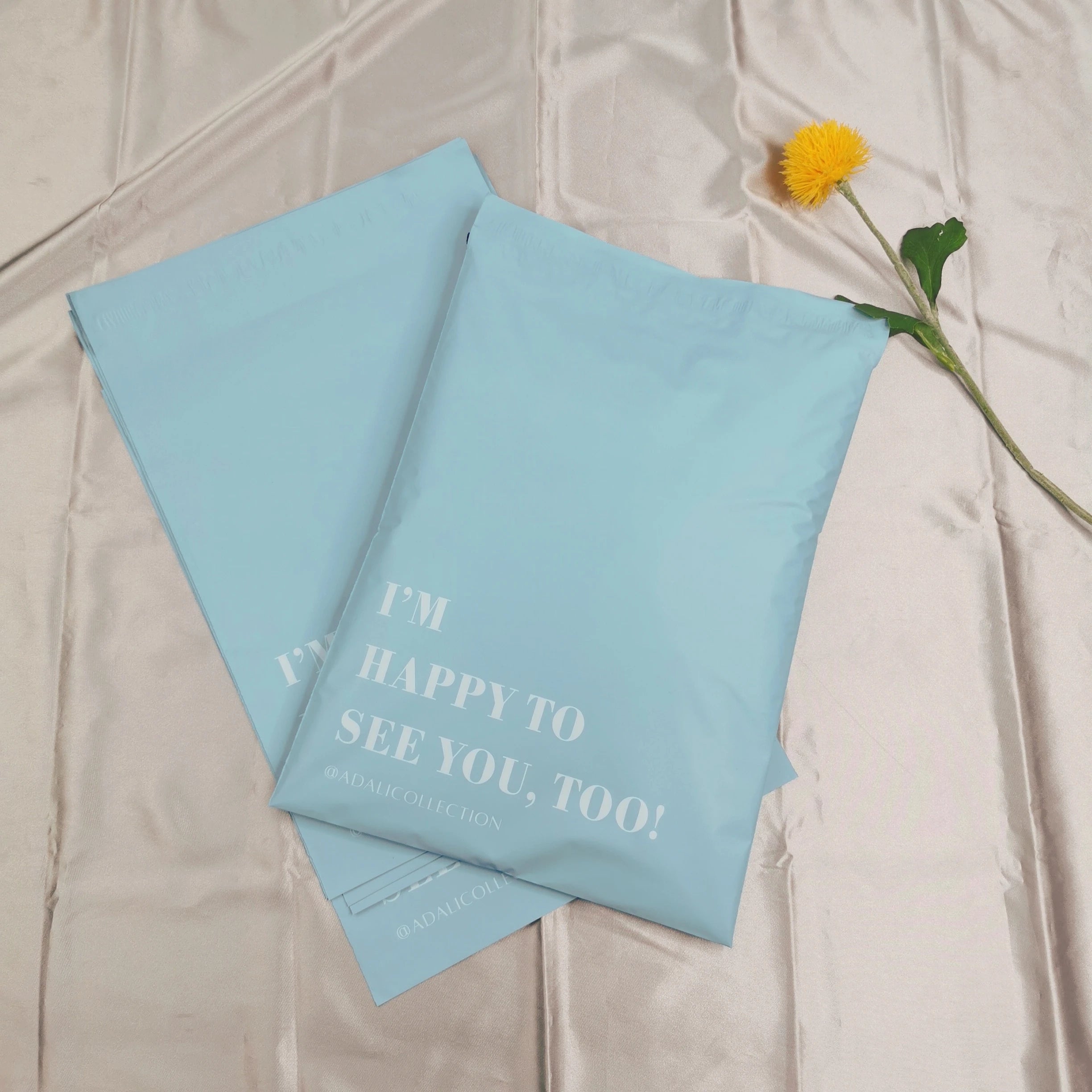 Matte Blue Poly Mailer Custom Design Printed Polymailer Bag Clothing Packaging Polybag Shipping Bag with Logo